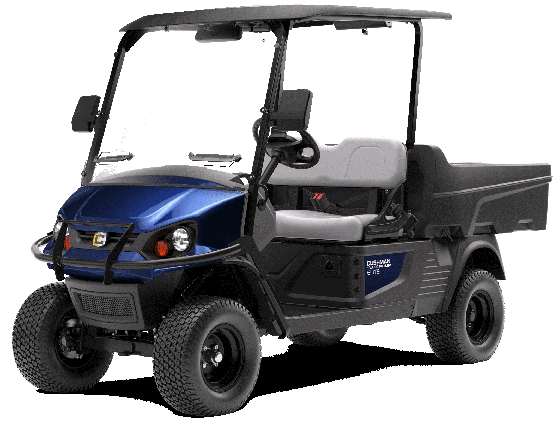 Golf carts for Rental in Chandler, AZ